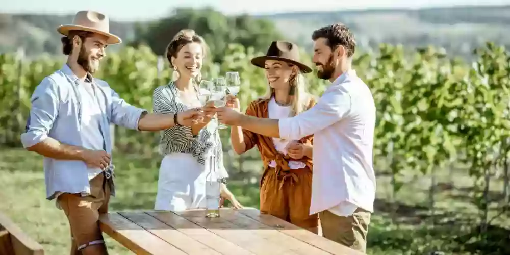 Ami Tours - Wine Tours in Yarra Valley & Mornington Peninsula