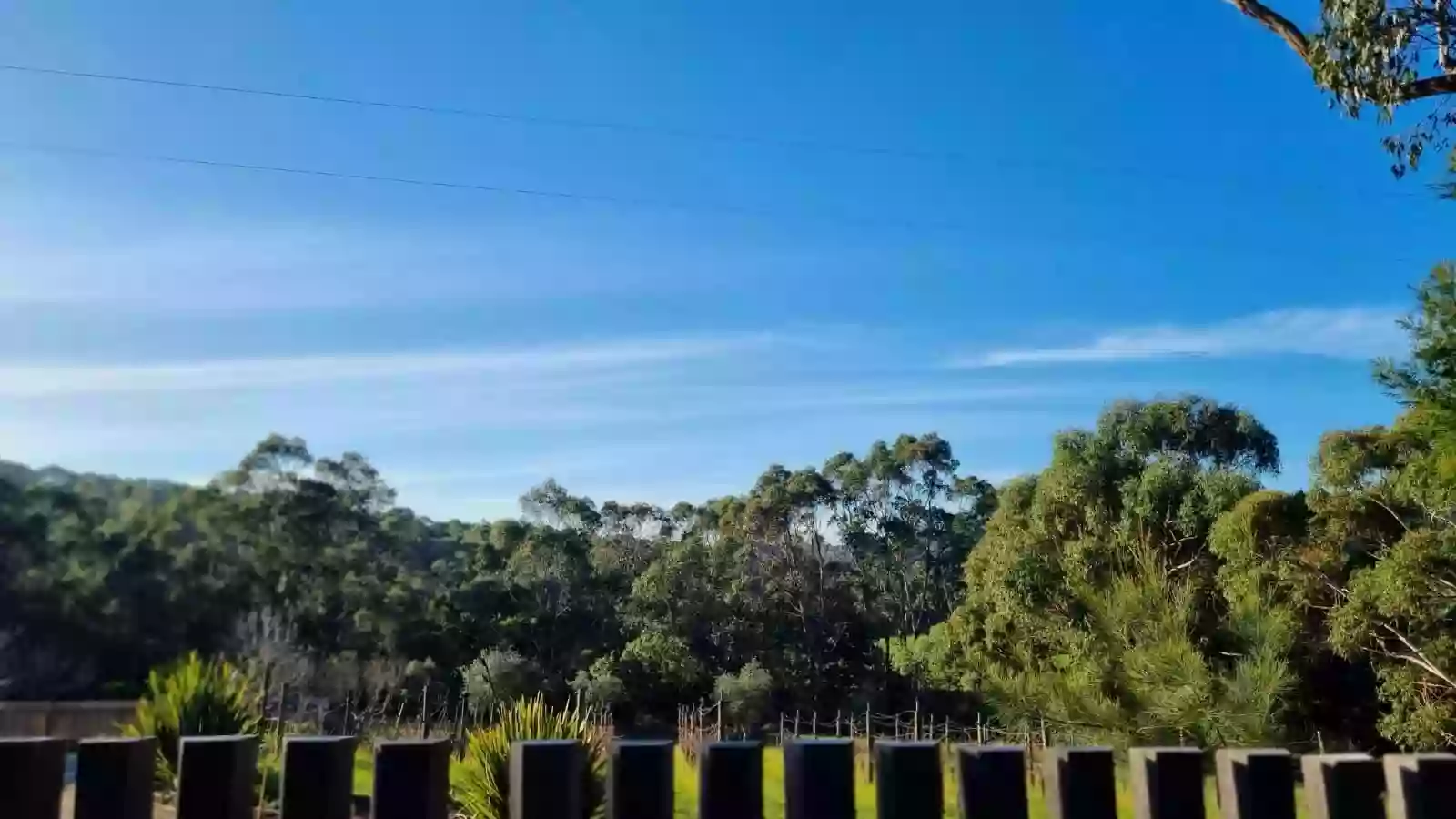 Treetops at Red Hill: Peppercorn Cottage and The Wine Makers Cottage