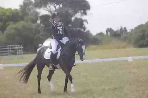 Beltain Park Horse Riding Centre