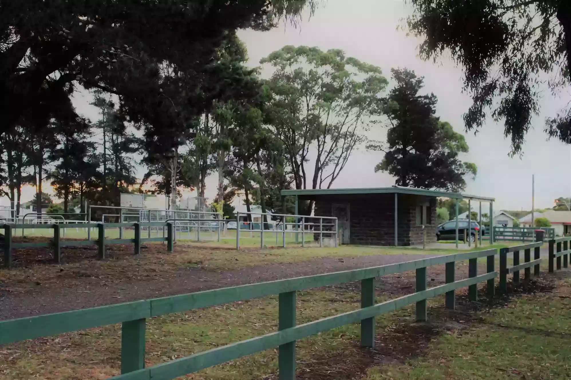 Wonthaggi Dog Obedience