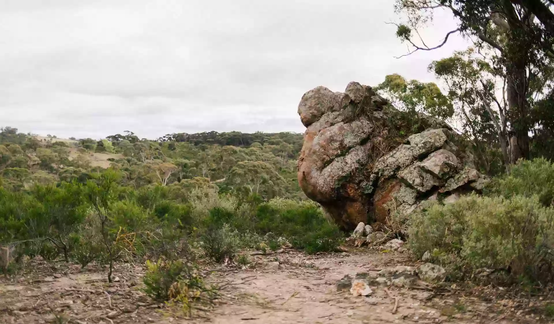 Long Forest Nature Conservation Reserve