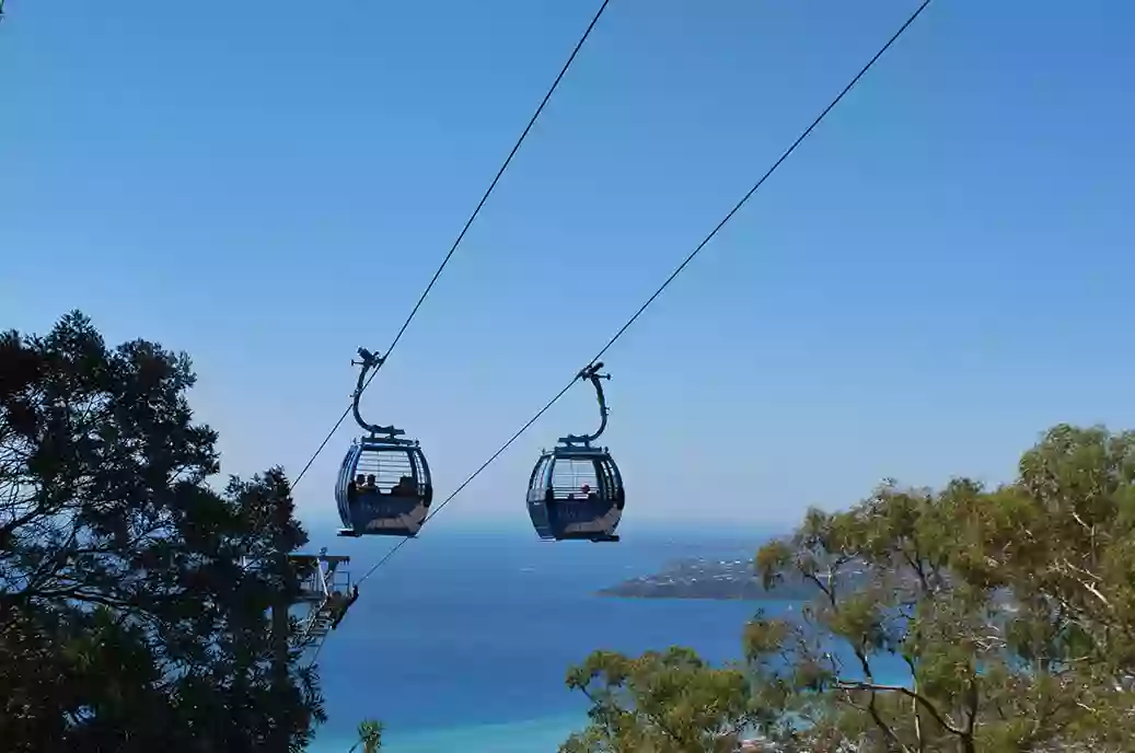 Arthurs Seat Eagle - Summit Station