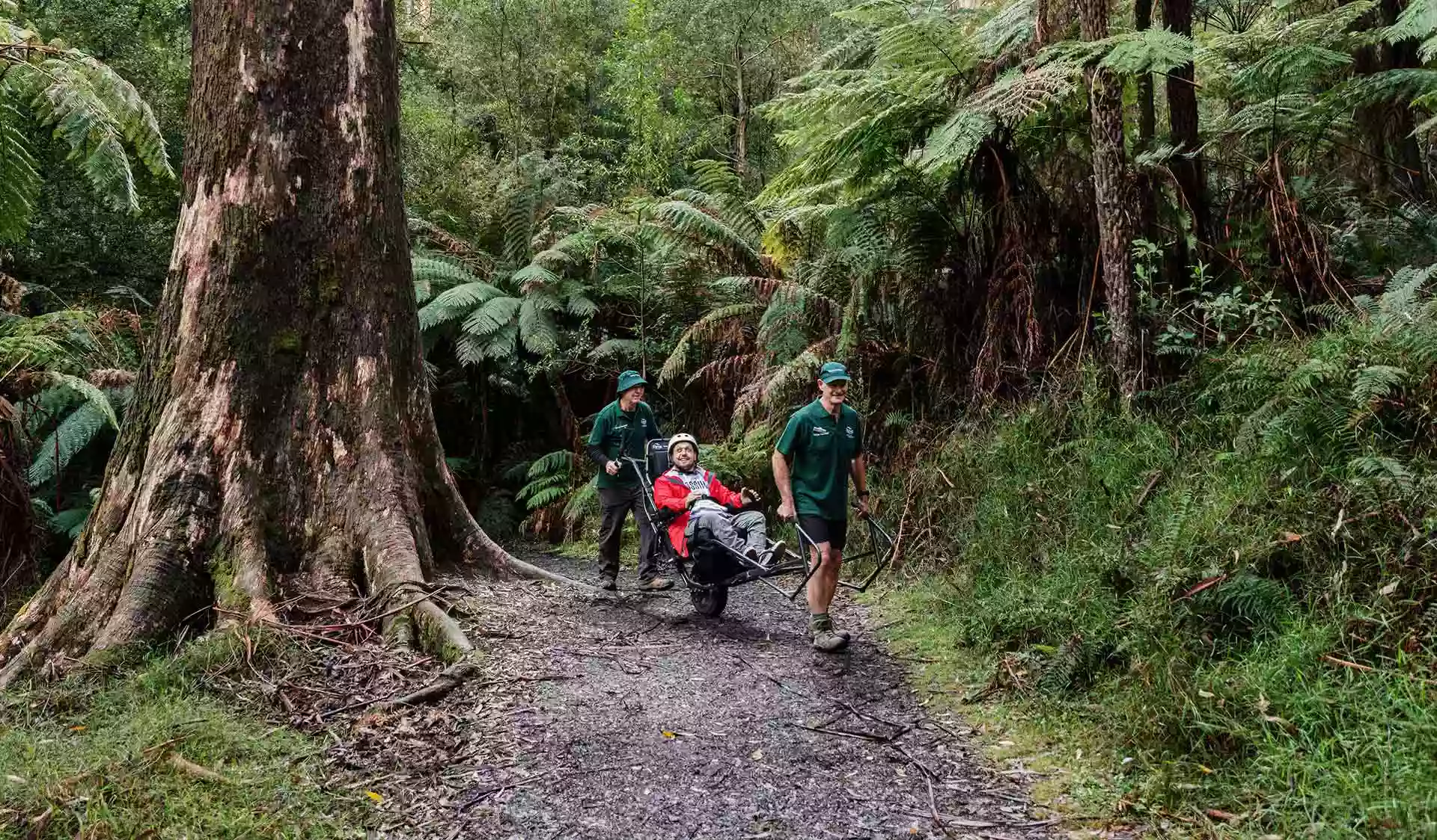 Warrandyte State Park - Pound Bend Reserve