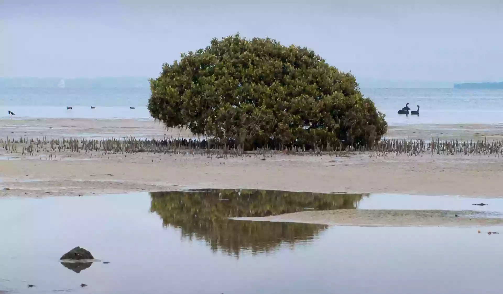 French Island Marine National Park