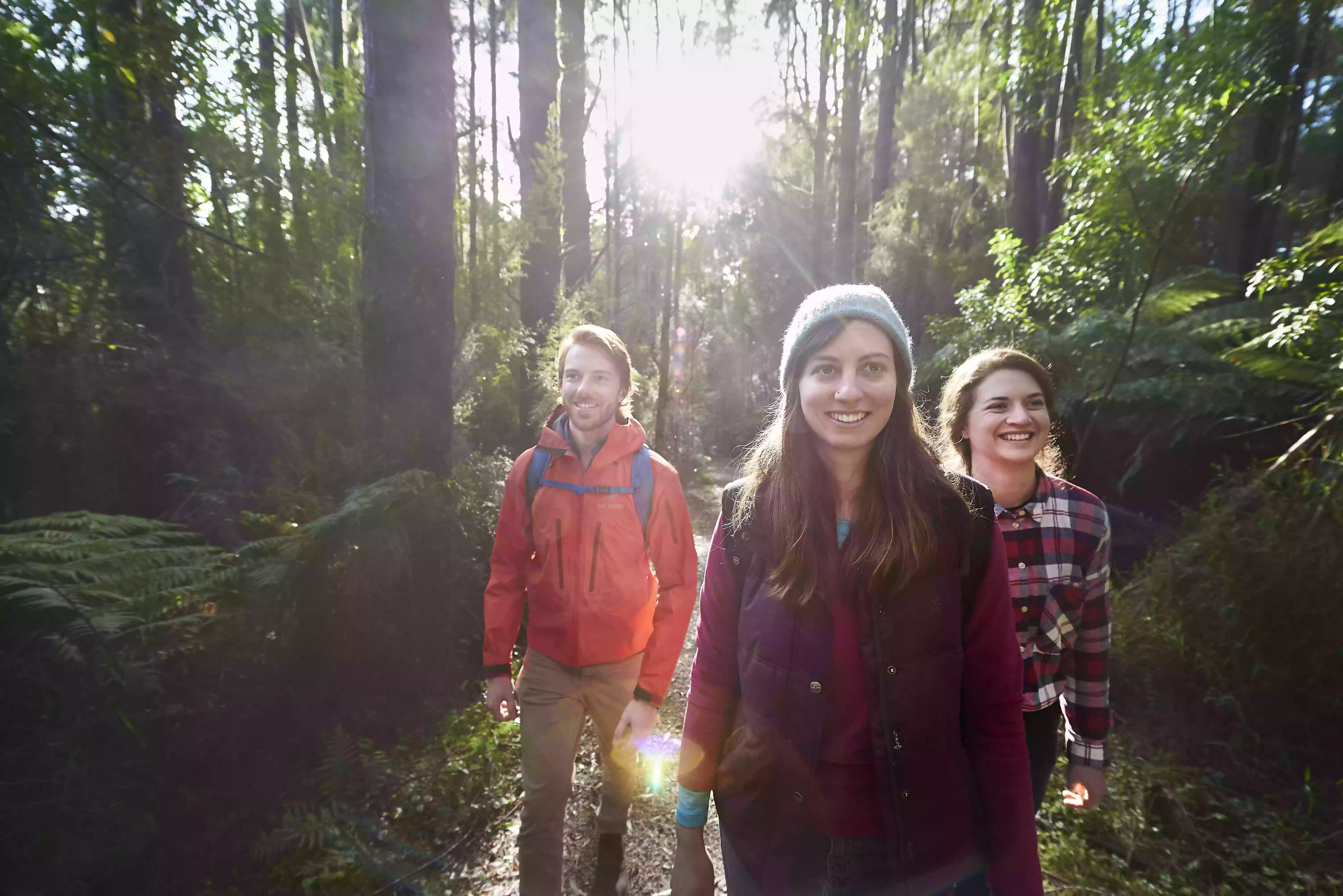 Wirrawilla Rainforest Walk