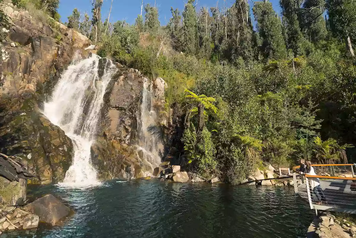 Steavenson Falls Carpark (Coins Only)