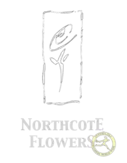 Northcote Flowers