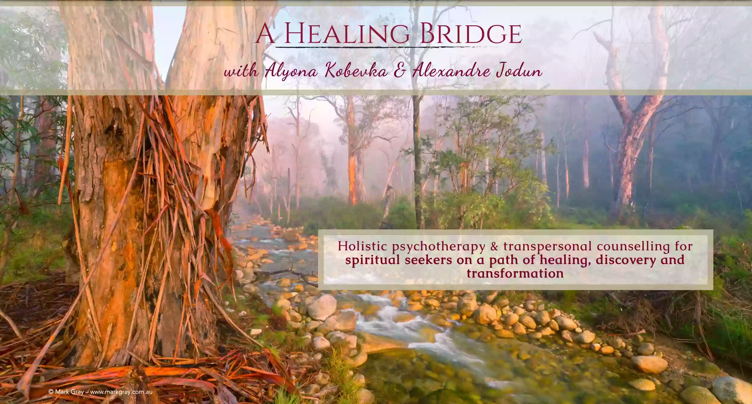 A Healing Bridge - Holistic Psychotherapy & Plant-Medicine Healing