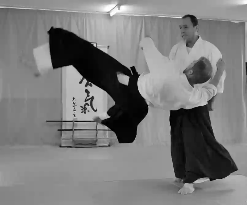 Aikido Warrior Dojo