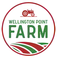 Wellington Point Farm Market Hall