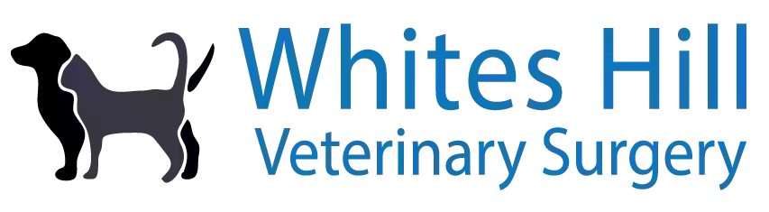 Whites Hill Vet