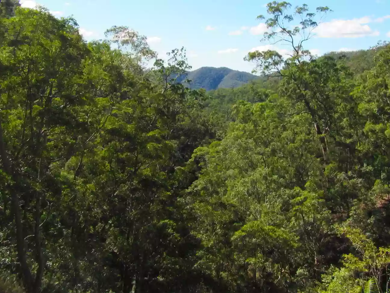 Middle Kobble remote bush camp