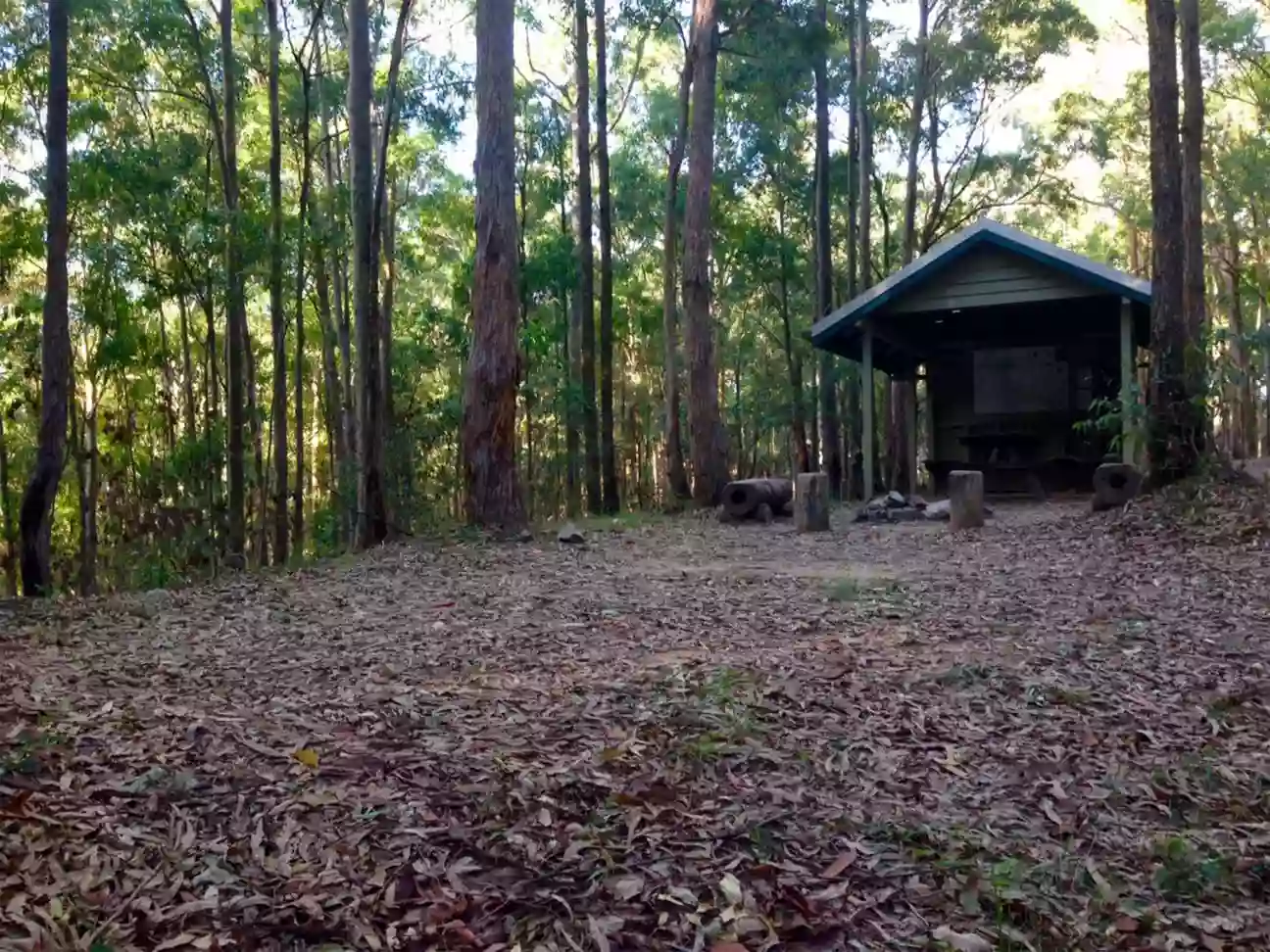 Light Line Road remote bush camp, D'Aguilar National Park