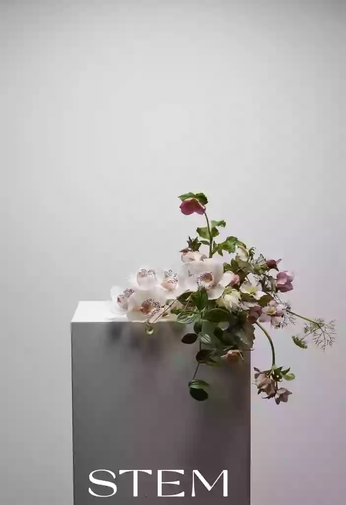 STEM | Brisbane Florist