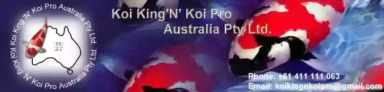 Koi King "N" Koi Pro Australia Pty Ltd.