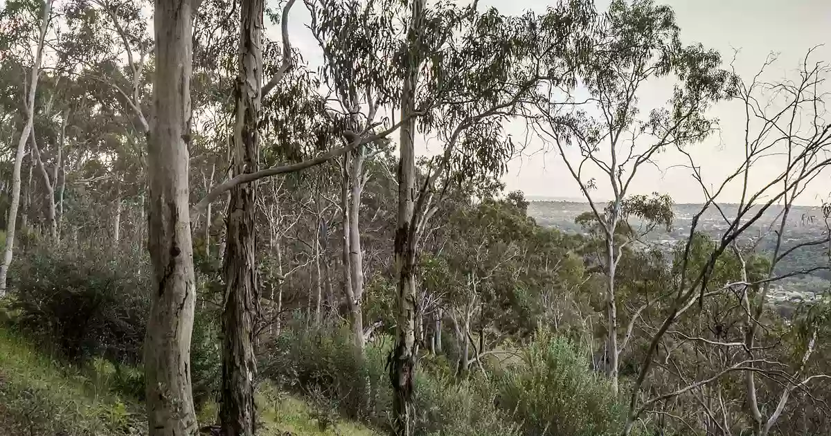 Black Hill Conservation Park Office