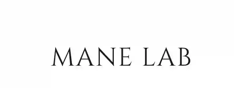 MANE LAB