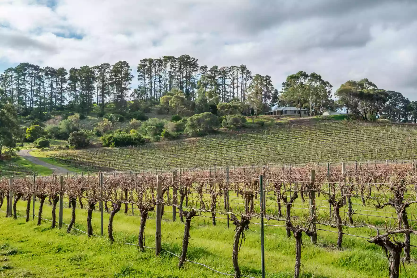 McLaren Vale Getaways