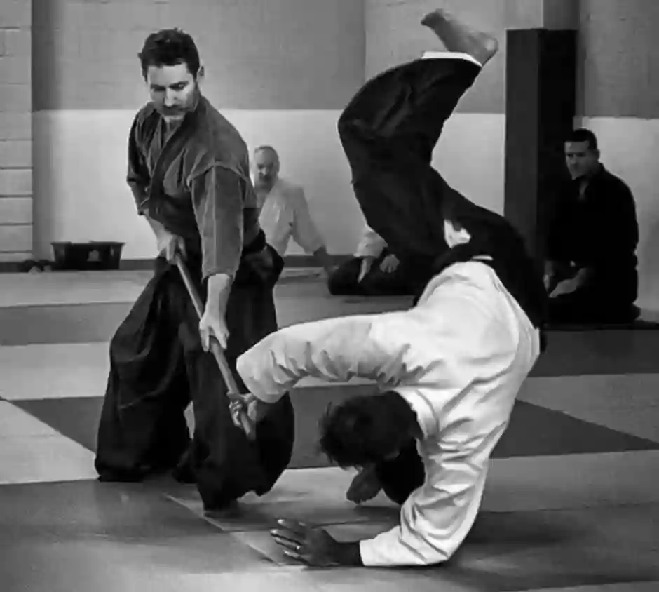 Griffin Aikido