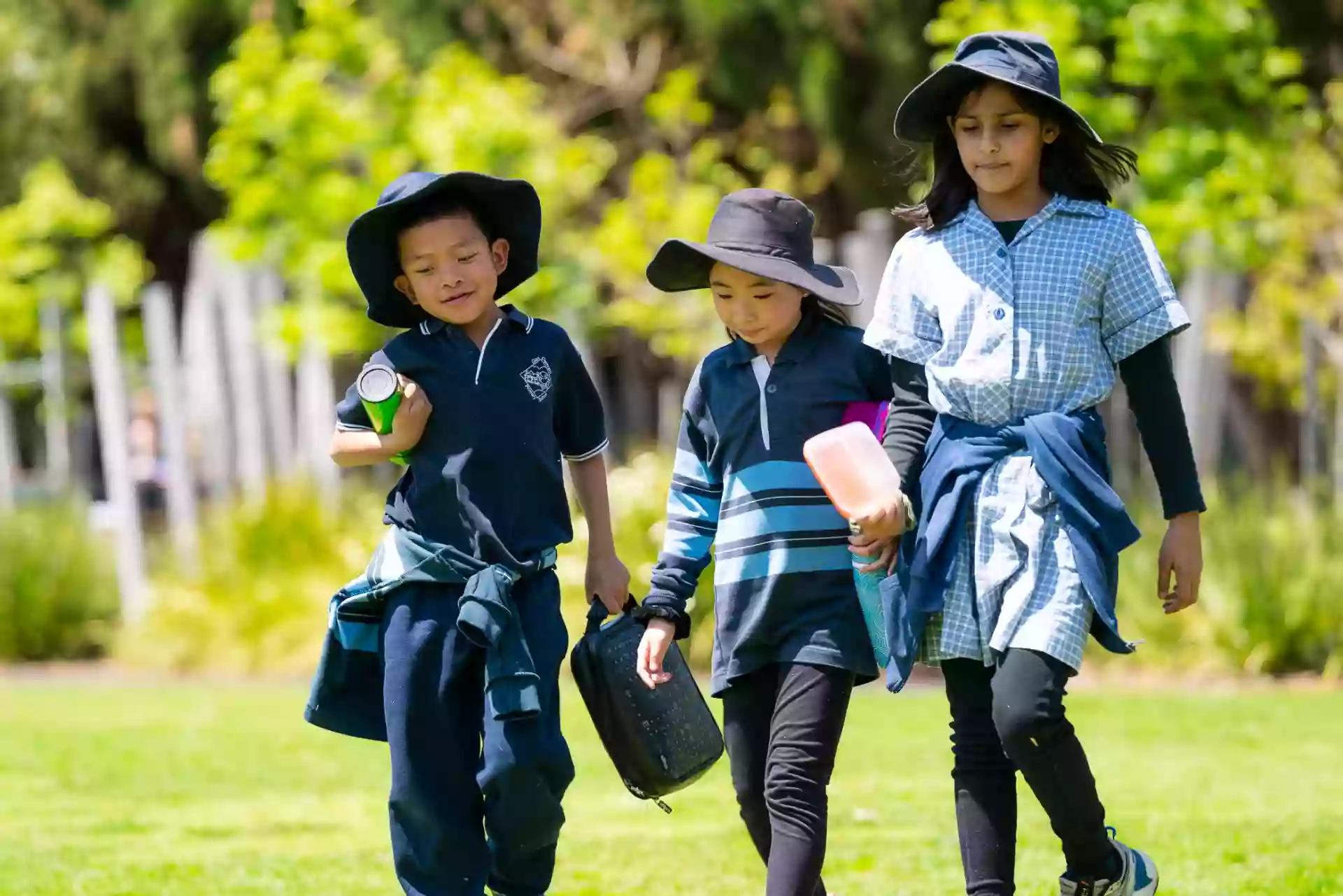 Glen Osmond Primary School