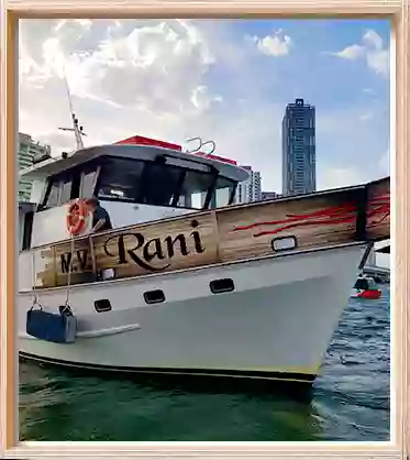 Top Cruise Rani