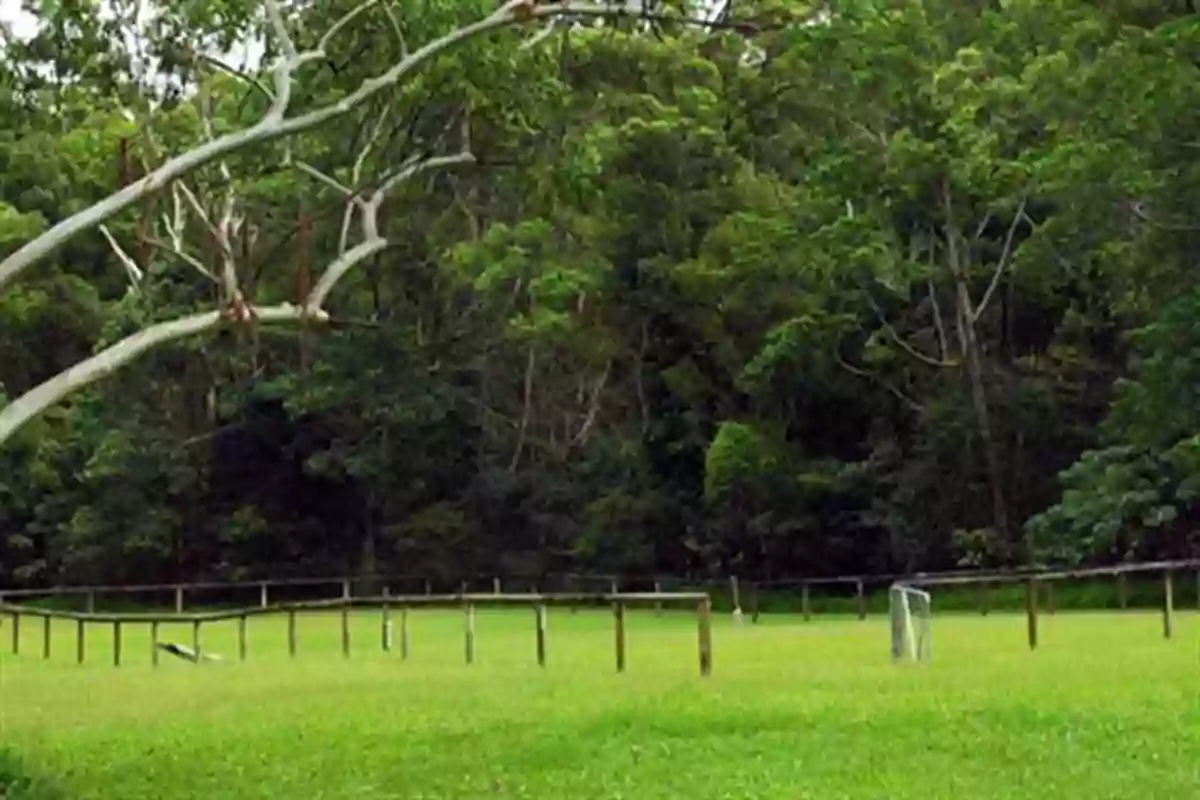 Lower Golden Valley Park