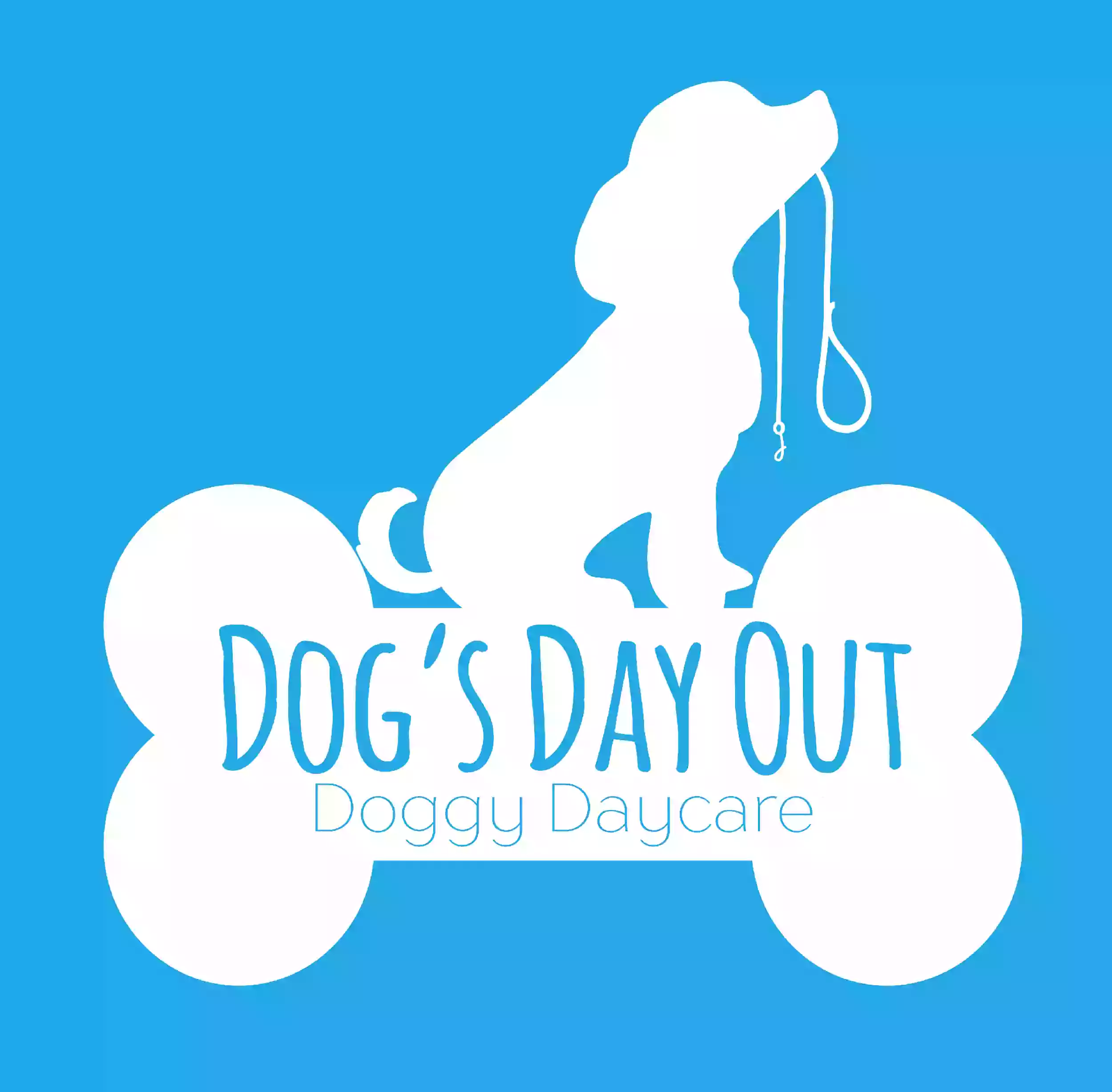 Dog's Day Out Doggy Daycare