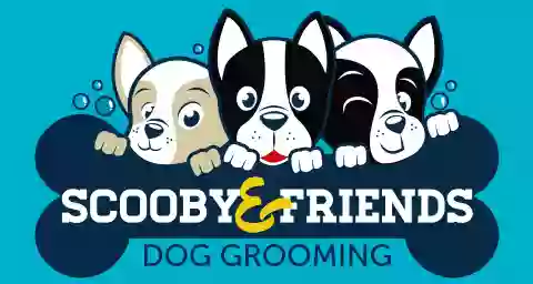 Scooby & Friends Dog Grooming