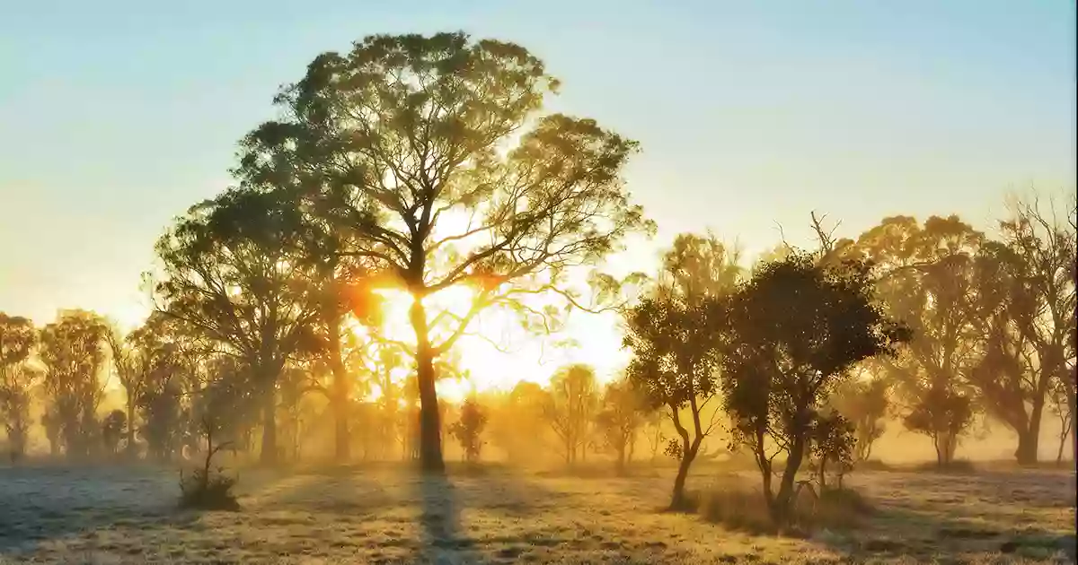 Black Mountain Nature Reserve