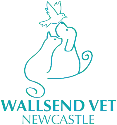 Wallsend Vet Newcastle