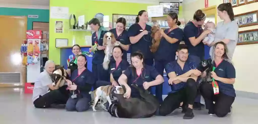 Doyalson Animal Hospital