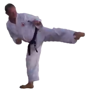 Traditional Shito Ryu Karatedo