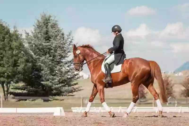 Saddle Fitting SEQ