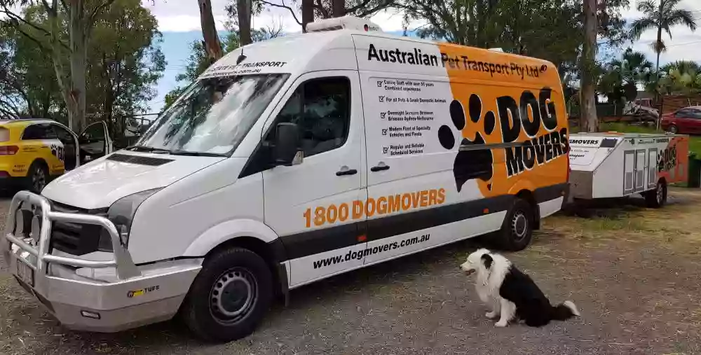 Dogmovers Pet Transport