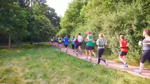 Paradise Point parkrun