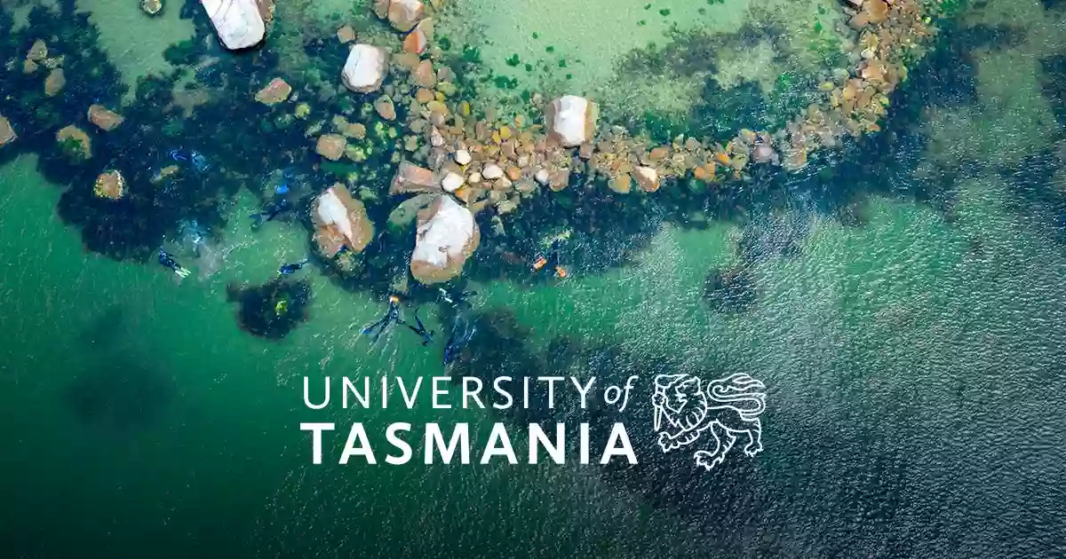 Tasmanian School of Business & Economics