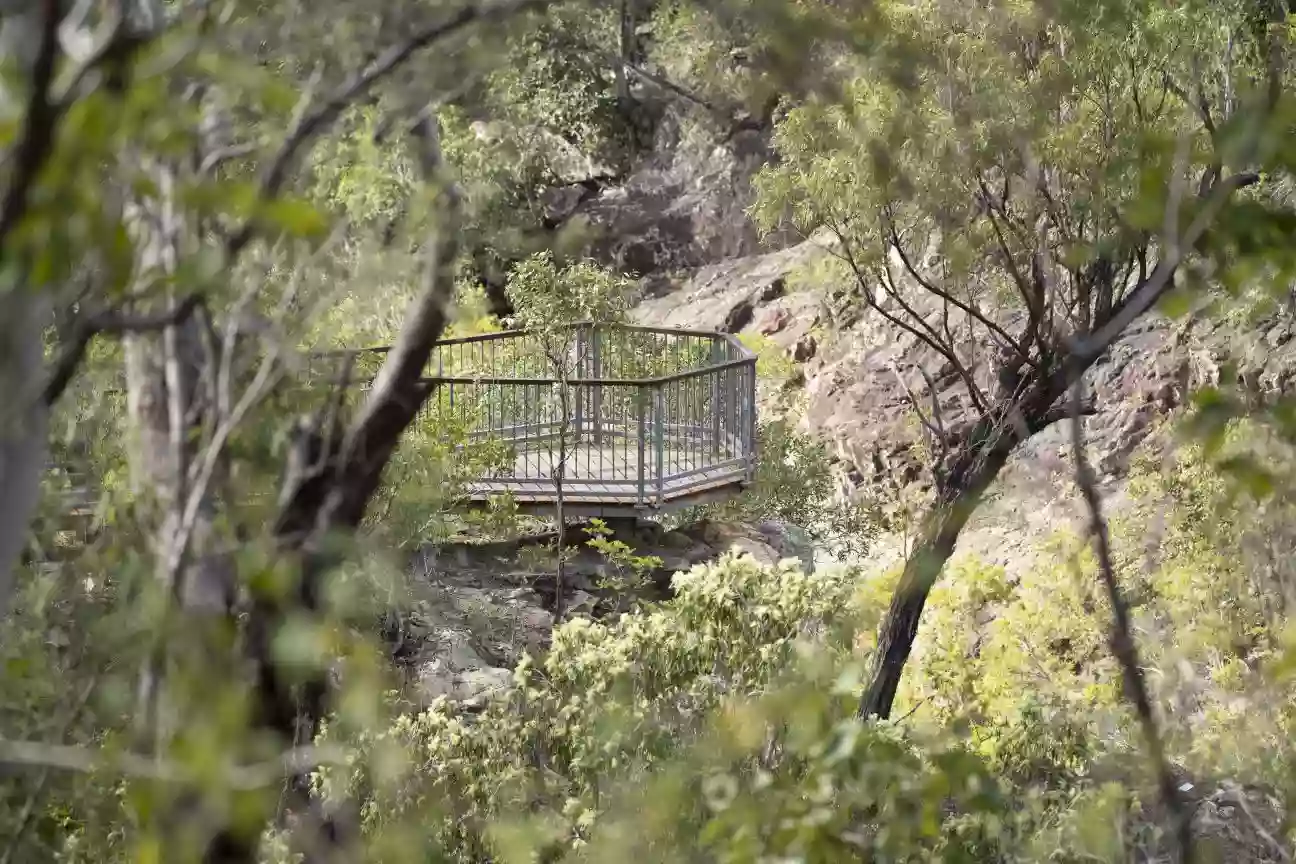 Alligator Creek Lookout