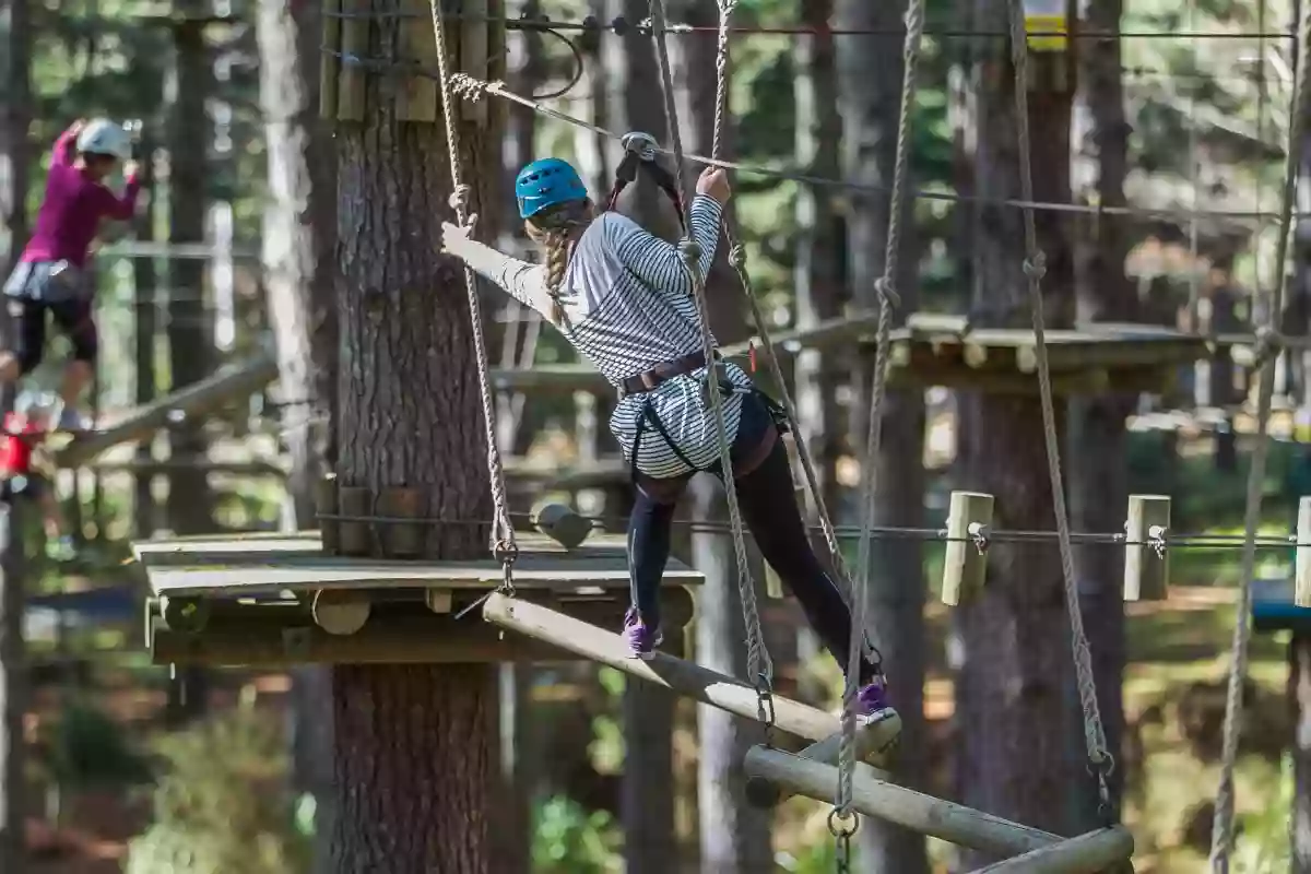 Tree Adventures