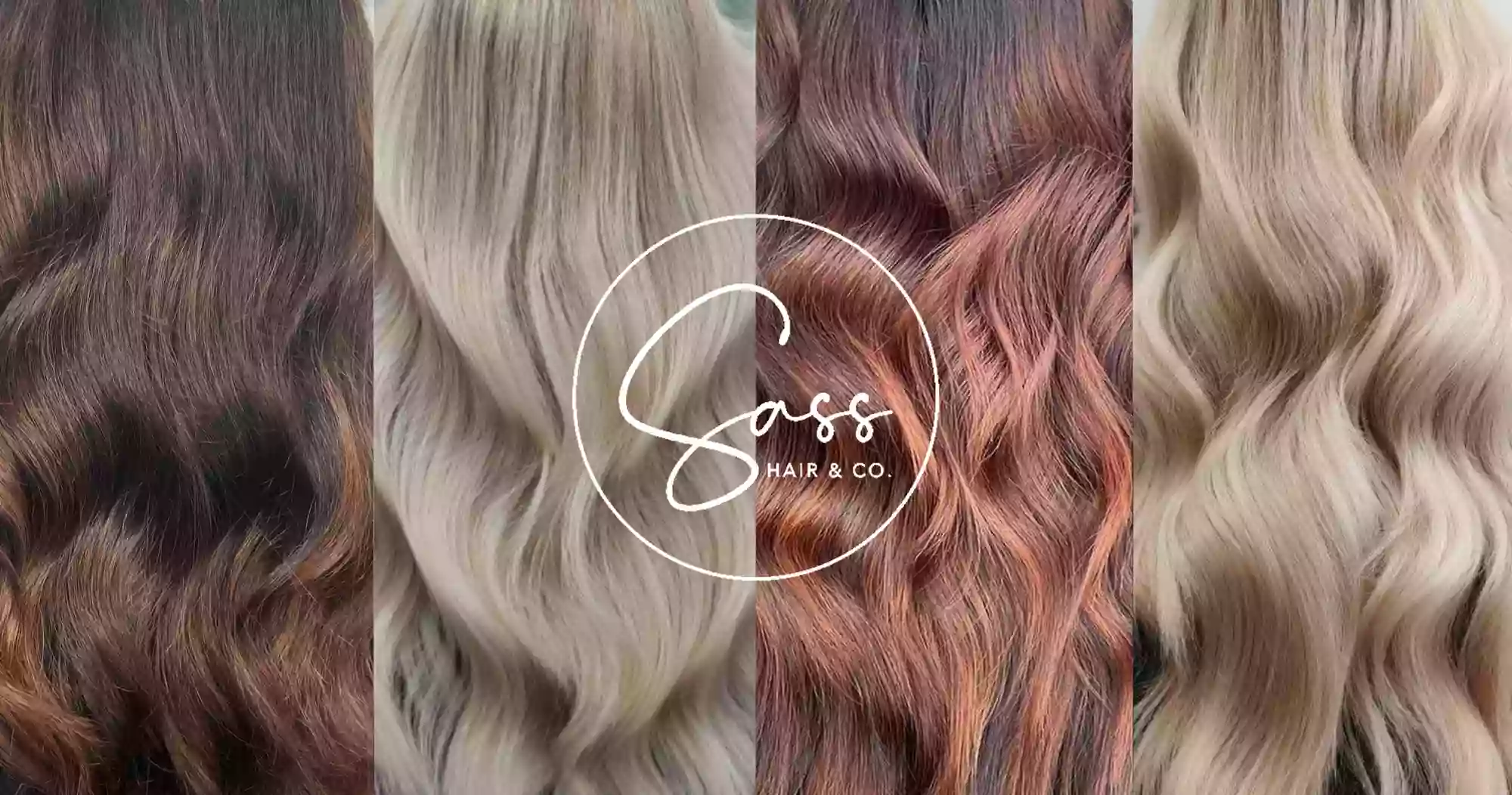 Sass Hair and Co Salon Lower Hutt