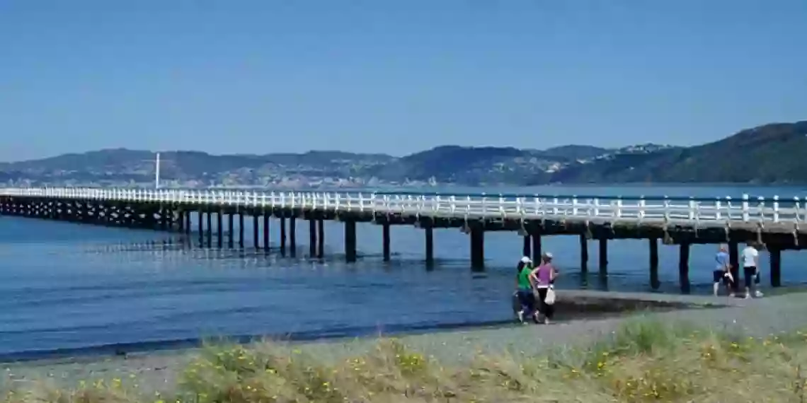 Te Kohanga Manaaki - Petone Playscape