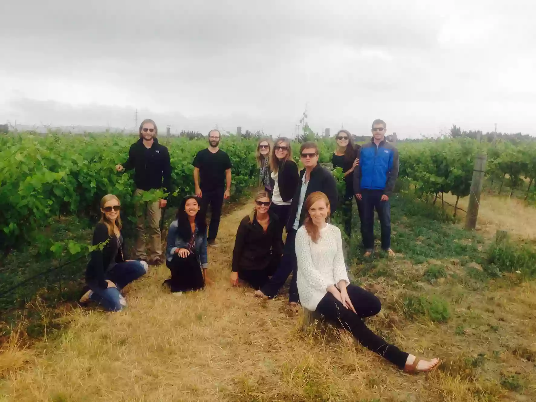 Waipara Wine Tours