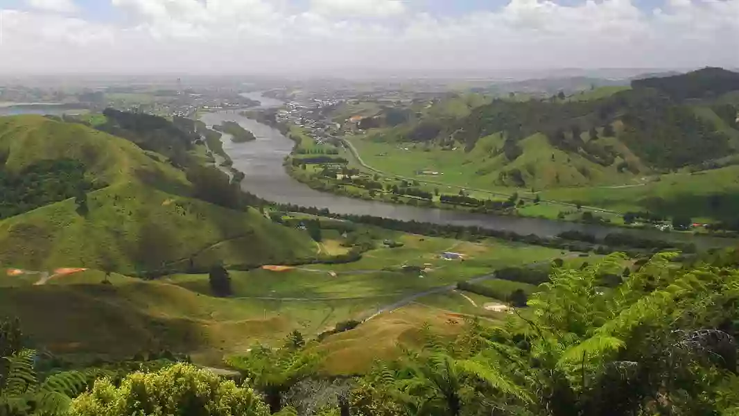 Kauri Loop Track