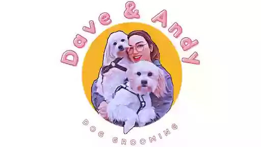 Dave & Andy Dog Grooming