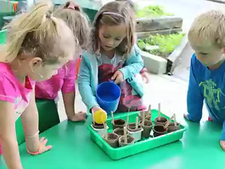 Central Kids Kihikihi Kindergarten