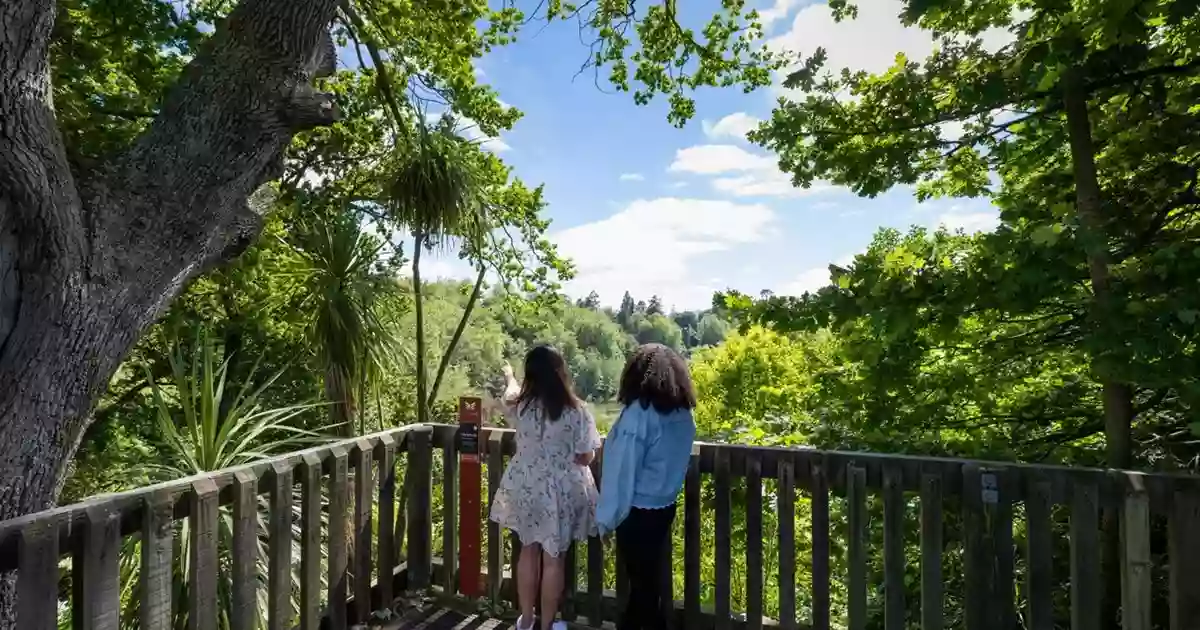 Lake Te Koo Utu Reserve