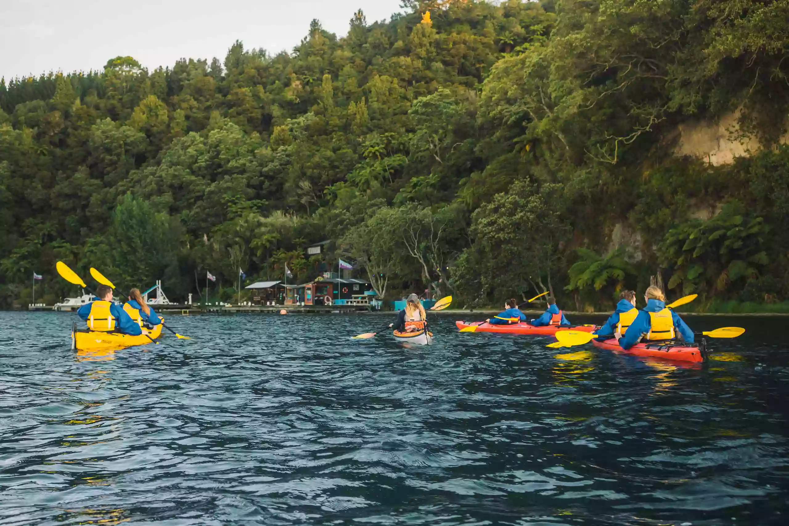 Waimarino Kayak Tours