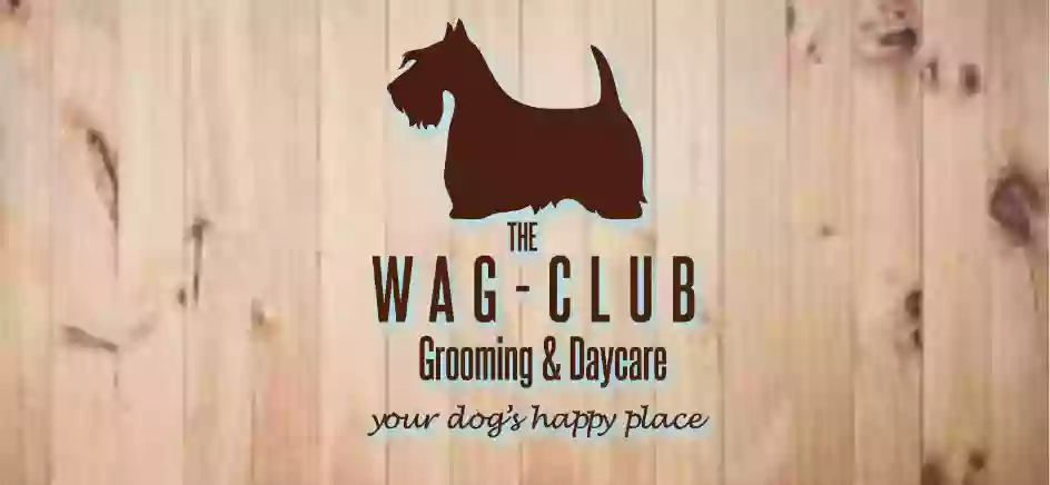 The Wag-Club Grooming & Daycare Mount Maunganui