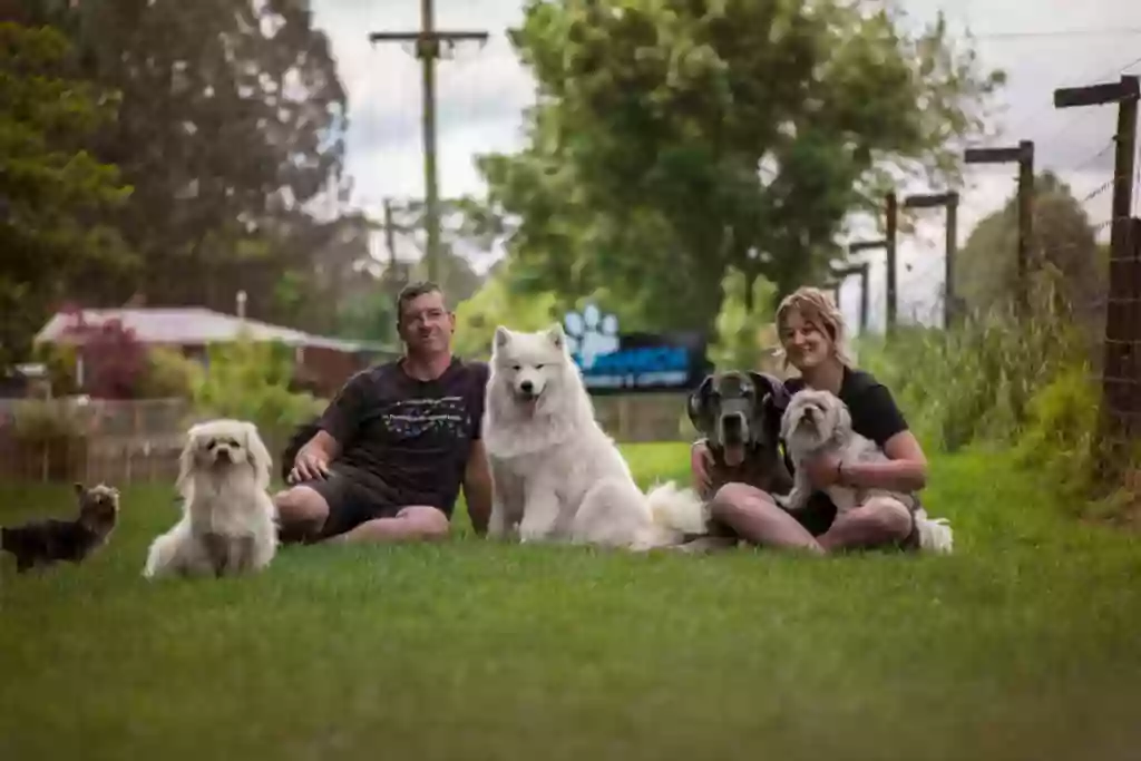 Kaharoa Kennels