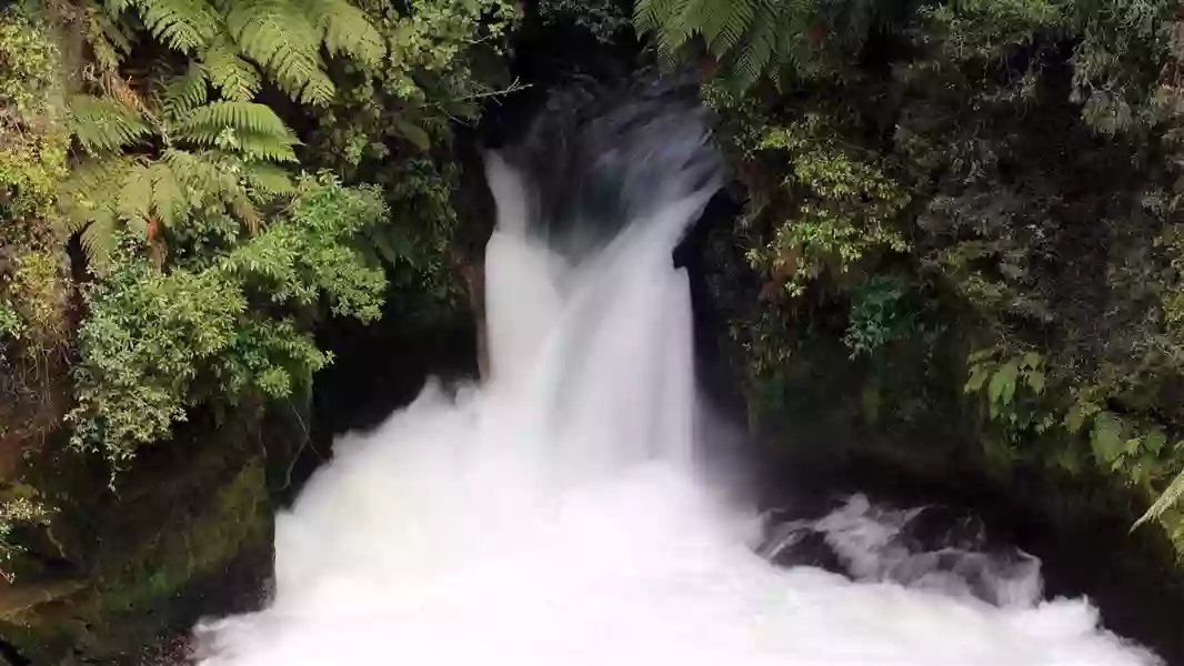 Okere Falls