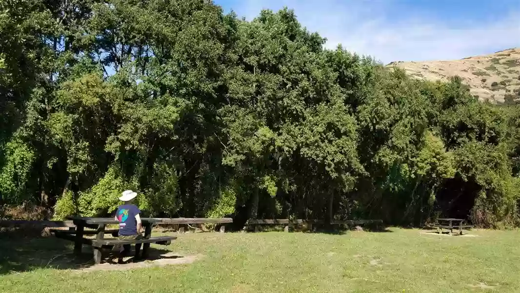 Kaituna Scenic Reserve